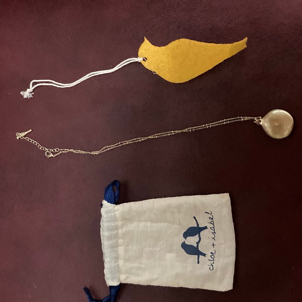 Chloe + Isabel Necklace